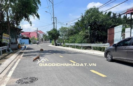 MẶT TIỀN ĐƯỜNG NHỰA 18M - 1,8 HECTA PHƯỚC VĨNH AN - NGANG 80M KHỦNG - CHỈ 50 TỶ